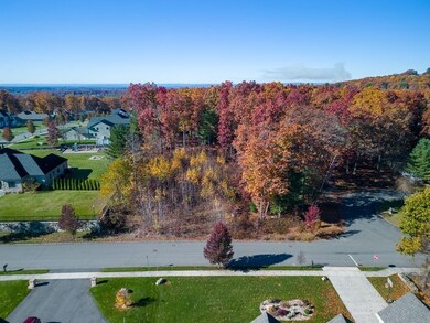 0 Dinis Ave unit 73053767, Ludlow, MA 01056 - photo 4