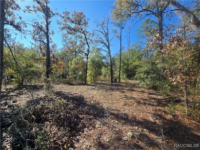 11136 N Vesta Point, Dunnellon, FL 34434 - photo 5