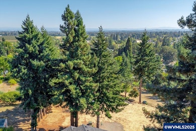 Parcel 2 2832 Doaks Ferry Rd NW, Salem, OR 97304 - photo 6