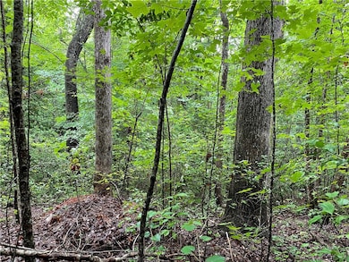 00 N Little River Rd, Salem, SC 29676 - photo 7