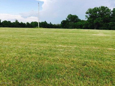 0 Cecil Noel Rd, Bloomfield, KY 40008 - photo 4