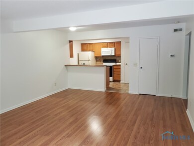 Large living room that opens to the kitchen