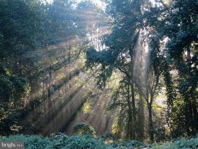 11580 Chapel Rise, Clarksville, MD 21029 - photo 2