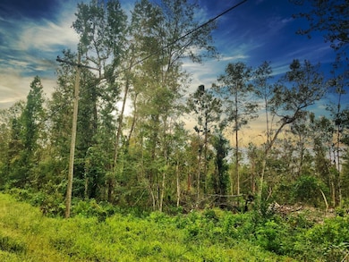 0 Oleander Dr unit 22715278, Vidor, TX 77662 - photo 2