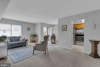 8606D Village Way, Alexandria, VA 22309 - photo 5