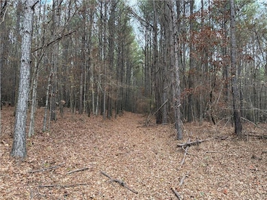 0 Branson Crossing Rd, Kingston, GA 30145 - photo 5