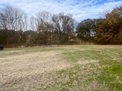 00 Scholes Ln, Stanton, TN 38069 - photo 4