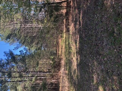 SH4