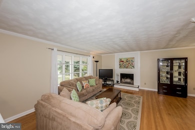 14600 Sturtevant Rd, Silver Spring, MD 20905 - photo 4