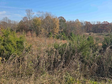 Tract 4 Green River Rd, Gaffney, SC 29341 - photo 3