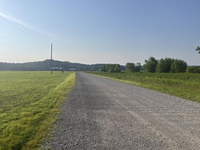 1505 Hardin Bottom River Rd, Clifton, TN 38425 - photo 5