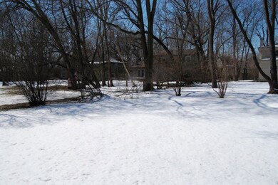 727 S Julian St, Naperville, IL 60540 - photo 3