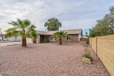 Low Maintenance Front Yard