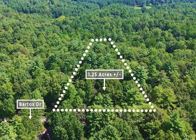 211 Bartox Dr, Ellijay, GA 30540 - photo 5