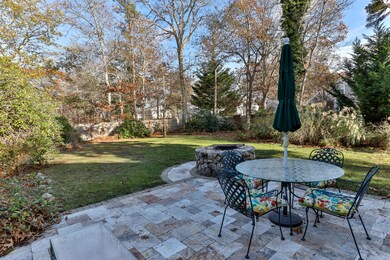 Backyard 2