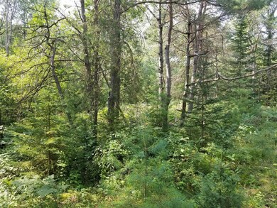 20170808_120743_resized