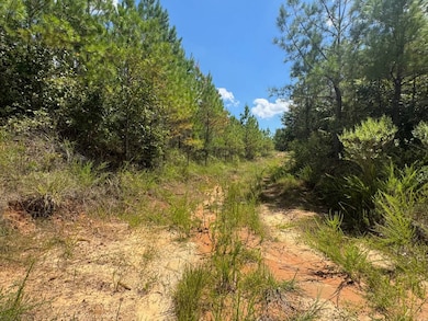 00 Mississippi 7, Grenada, MS 38901 - photo 7
