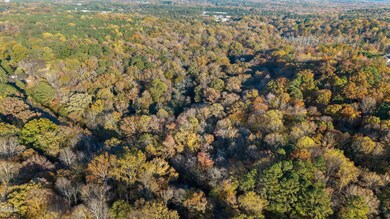 4-9705 Lake Wheeler - Drone_ (2)