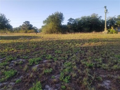 828 Lake Betty Dr, Lake Placid, FL 33852 - photo 4