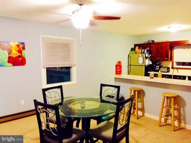 3779 Sugar Grove Rd, Brandywine, WV 26802 - photo 6