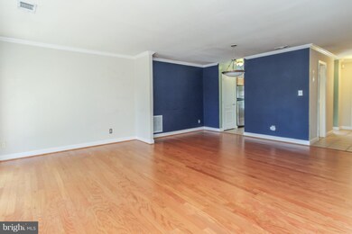 3846 Chesterwood Dr, Silver Spring, MD 20906 - photo 6