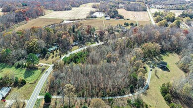 Side View of 1500 NC Hwy 150 Wooded Lot - Beside of Driveway