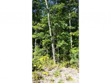 Lot 6 Barend, Wakefield, NH 03872 - photo 3