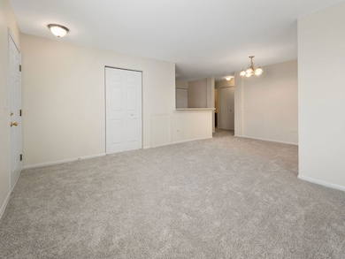 1309 Silverstone Dr unit 1305, Carpentersville, IL 60110 - photo 6