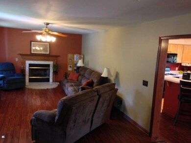photo 1 (1)