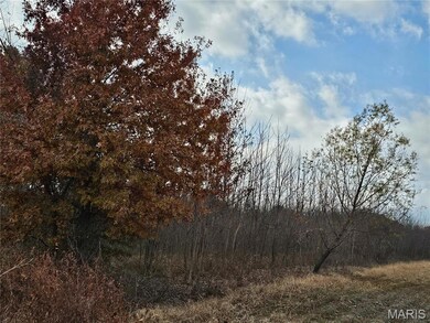 620 County Rd, Broseley, MO 63932 - photo 2