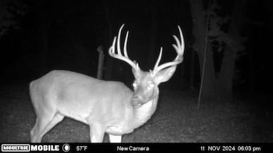 19180 E 920th Rd, Humansville, MO 65674 - photo 3