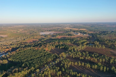 9283 Tallokas Rd, Pavo, GA 31778 - photo 3