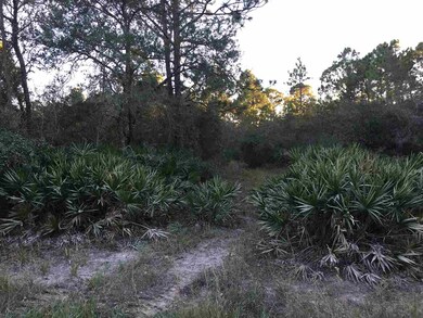 0 Yates Creek Rd unit 275087, Perry, FL 32348 - photo 4