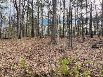 21535 Ridgeview Ln, Rogers, AR 72756 - photo 4