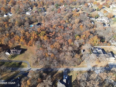 000 Shady Ln, Joplin, MO 64804 - photo 3