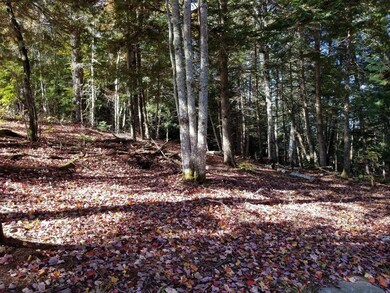 20171012_103808[38058]