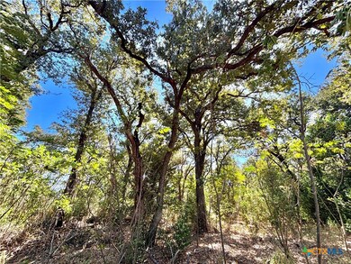 00 Farm To Market Road 1048, Rosebud, TX 76570 - photo 7