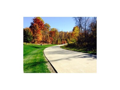 Fall scene in Crystalbrooke leading to lot on Whis