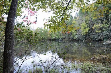 Community Lake/Pond