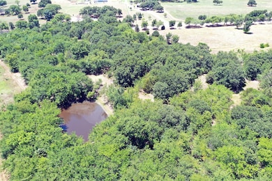 16.72AC Joe Allen Rd, Pilot Point, TX 76258 - photo 4