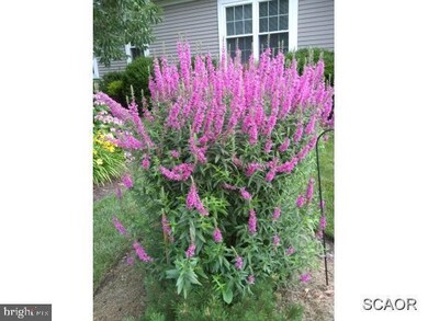 32584 Long Spoon Way unit 3128, Millsboro, DE 19966 - photo 3