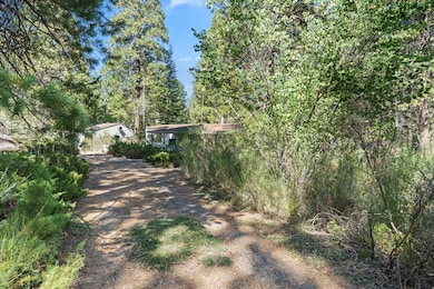 30588 Shingletown Ridge Rd, Shingletown, CA 96088 - photo 4