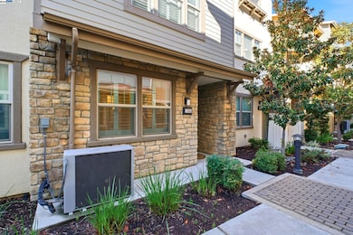 155 Branta Common, Fremont, CA 94538 - photo 5