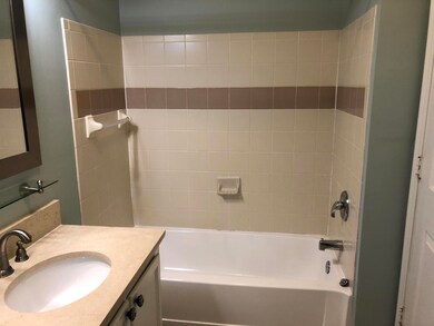 Shower/Tub Combo