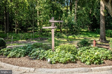 3 Beech Leaf Ct, Towson, MD 21286 - photo 3