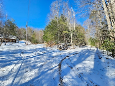 Tbd Viking Mtn Rd, Greeneville, TN 37743 - photo 2