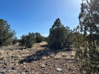 2d Stockmans Rd, Ash Fork, AZ 86320 - photo 3