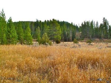 300 Porcupine Creek, Gallatin Gateway, MT 59730 - photo 4