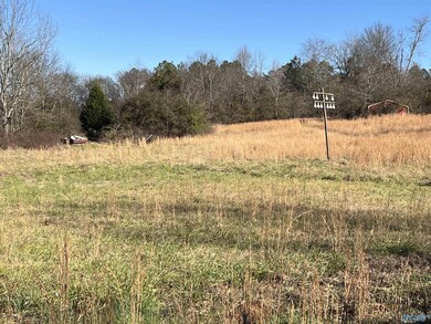 Tract 16 Peach Orchard Rd, Menlo, GA 30731 - photo 2