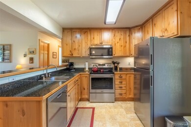 170 Tall Pine Cir unit 12D, Grand Lake, CO 80447 - photo 5